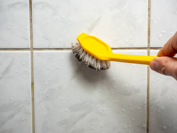 Best Mold Testing  in Massanetta Springs, VA