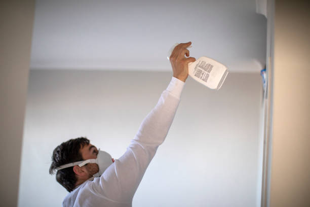 Best Mold Testing  in Massanetta Springs, VA