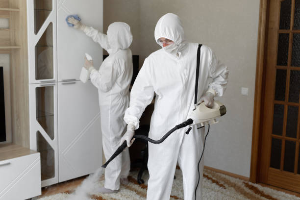 Best Certified Mold Removal  in Massanetta Springs, VA